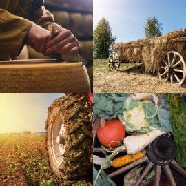 4 images 1 mot niveau 767|4 Images 1 Mot .